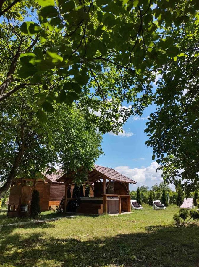 Brvnara Aurora Vista Velika Remeta Exterior foto